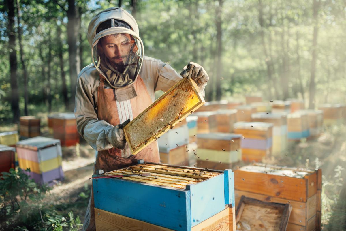 Prezenty dla pszczelarza